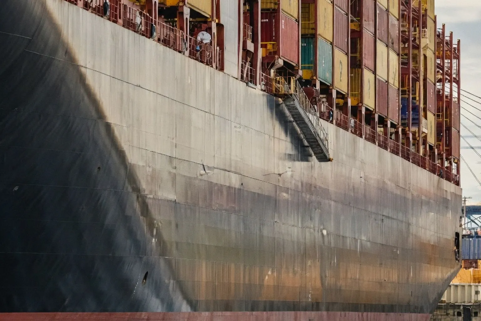 MSC приостанавливает работу в Новороссийске: как это повлияет на логистику переездов